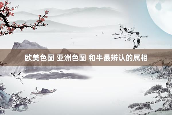 欧美色图 亚洲色图 和牛最辨认的属相